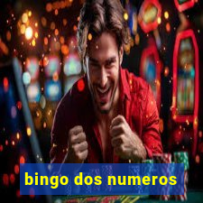 bingo dos numeros