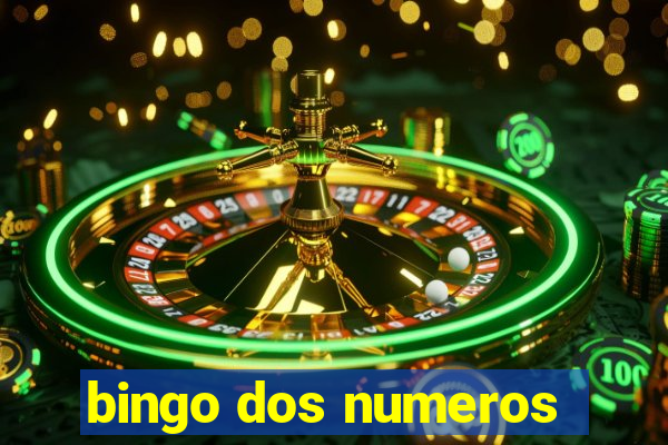 bingo dos numeros