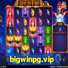 bigwinpg.vip