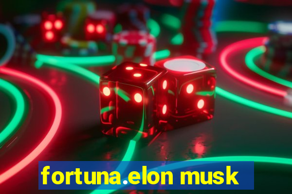 fortuna.elon musk