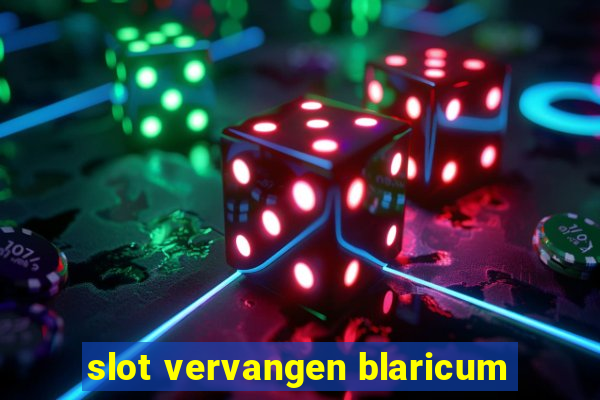 slot vervangen blaricum