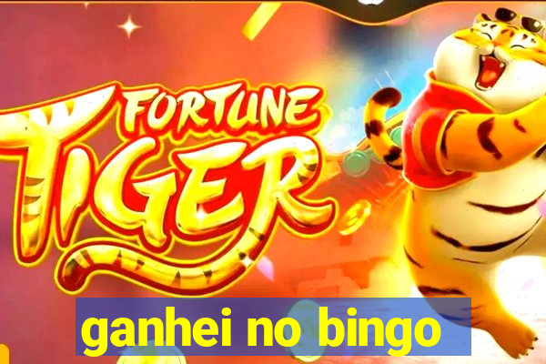 ganhei no bingo