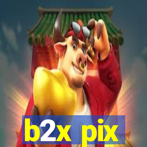 b2x pix