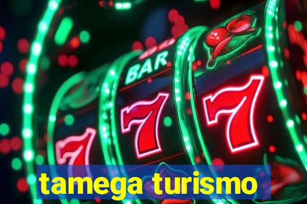 tamega turismo