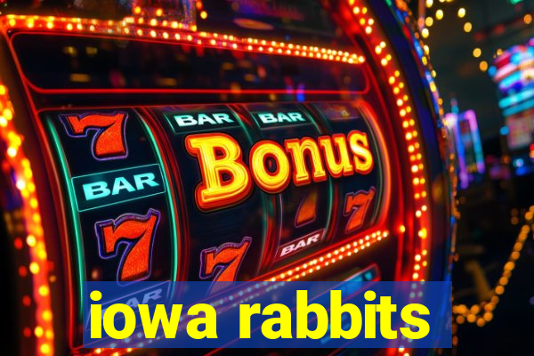 iowa rabbits