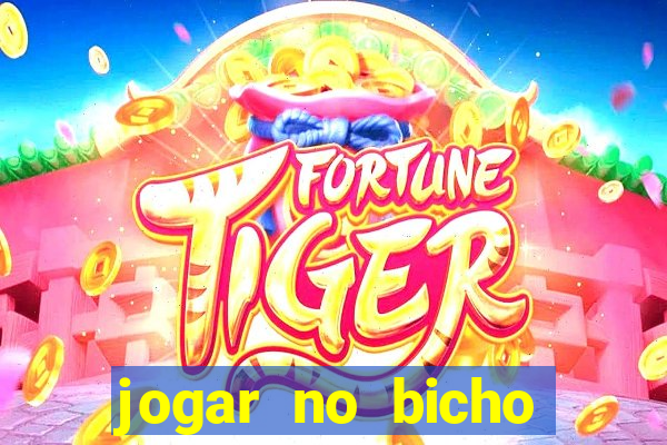 jogar no bicho online bahia