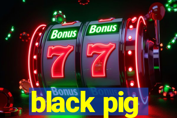 black pig