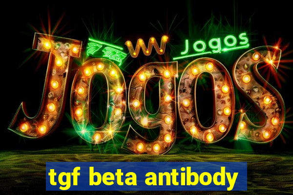 tgf beta antibody