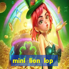 mini lion lop rabbit Informational