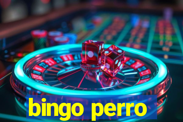 bingo perro