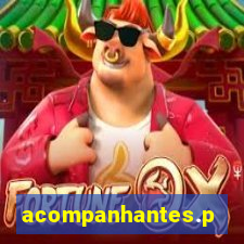 acompanhantes.pvh