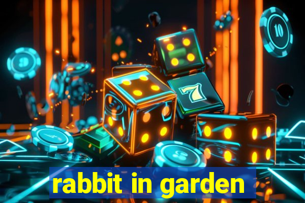 rabbit in garden