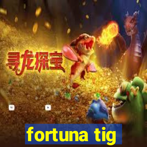 fortuna tig