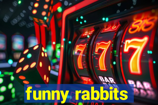 funny rabbits