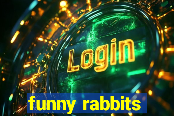 funny rabbits