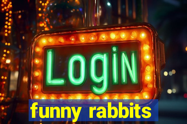 funny rabbits