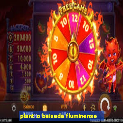 plant茫o baixada fluminense