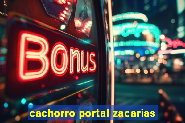 cachorro portal zacarias