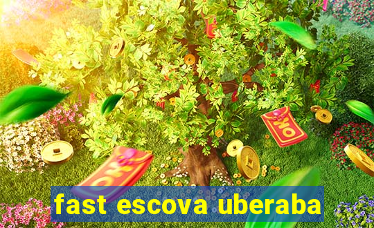 fast escova uberaba