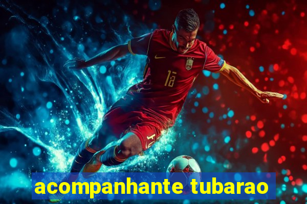 acompanhante tubarao