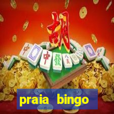 praia bingo download pc