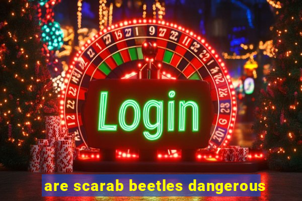 are scarab beetles dangerous