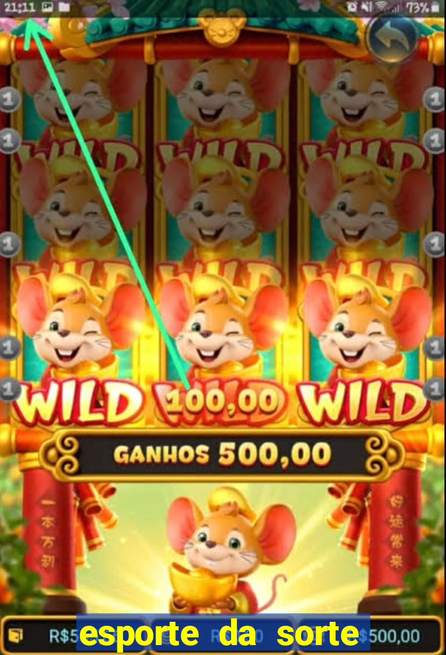 esporte da sorte casino baixar