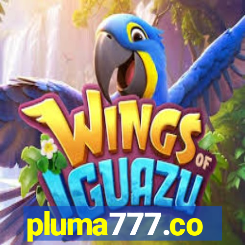 pluma777.co