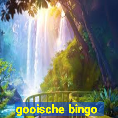 gooische bingo