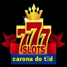 carona do t茅d