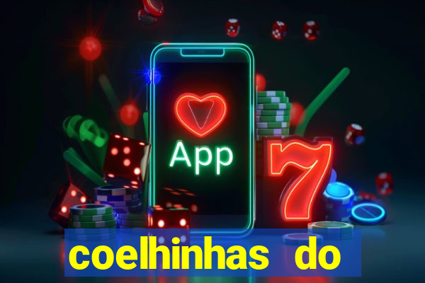 coelhinhas do brasil site