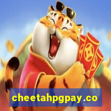 cheetahpgpay.com