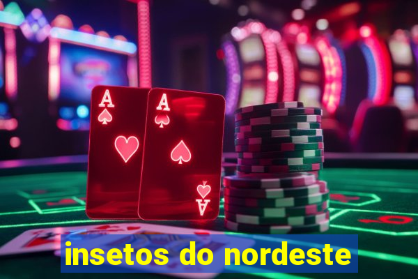 insetos do nordeste