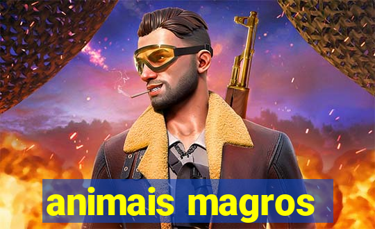 animais magros