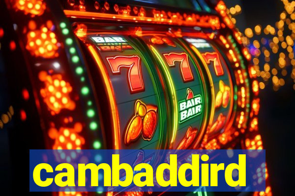 cambaddird