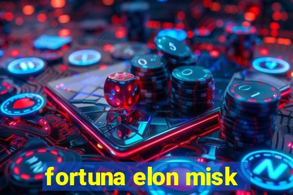 fortuna elon misk