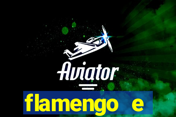 flamengo e palmeiras palpite