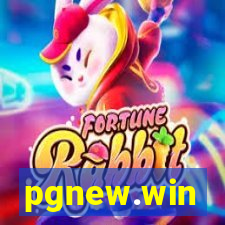 pgnew.win