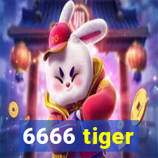 6666 tiger