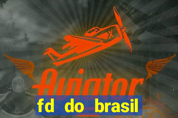 fd do brasil solu??es de pagamento ltda