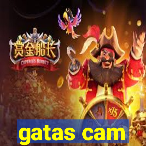 gatas cam