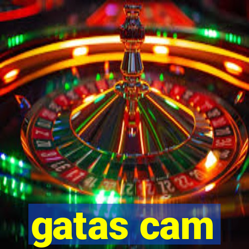 gatas cam