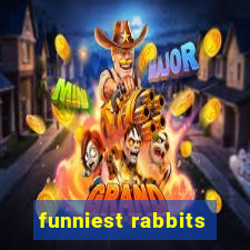 funniest rabbits