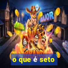 o que é seto