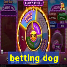 betting dog