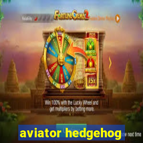 aviator hedgehog