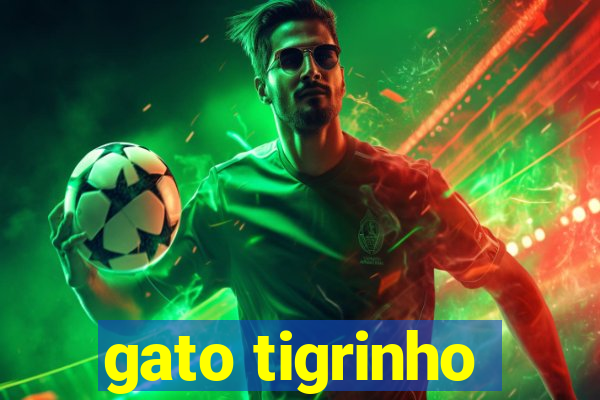 gato tigrinho