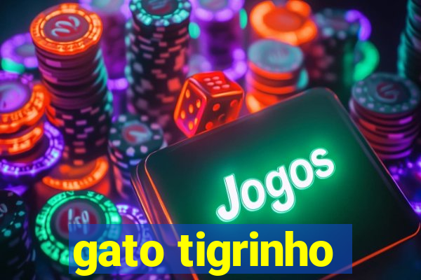 gato tigrinho