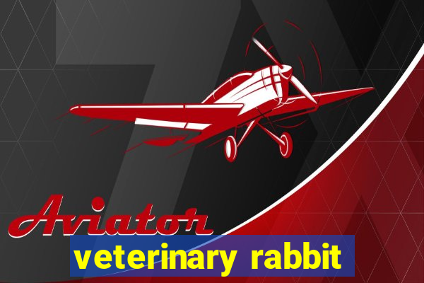 veterinary rabbit