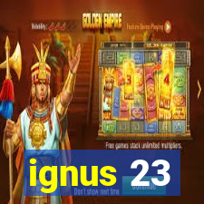 ignus 23